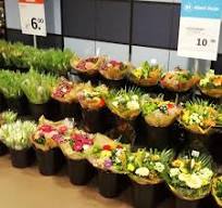 albert heijn bloemen