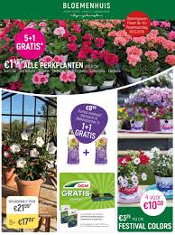bloemenwinkel open op zondag
