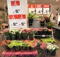 ah bloemen