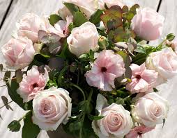 fiori bloemen
