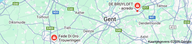 verlovingsringen witgoud