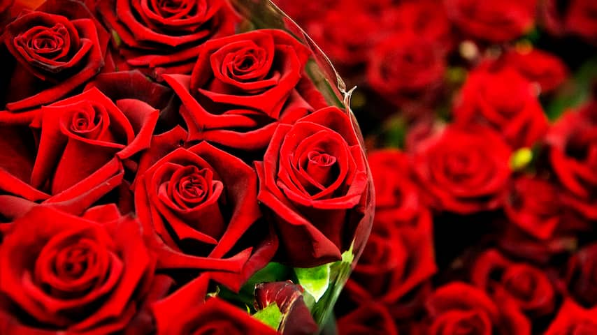 valentijns bloemen