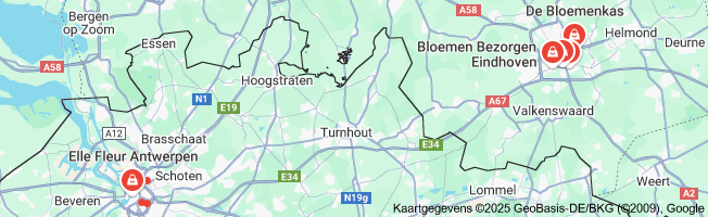 bloemen aan huis bezorgen