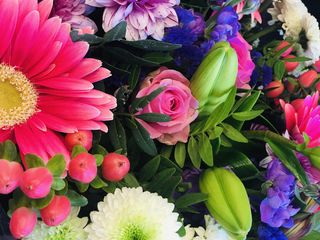 bloemen marquebreuck