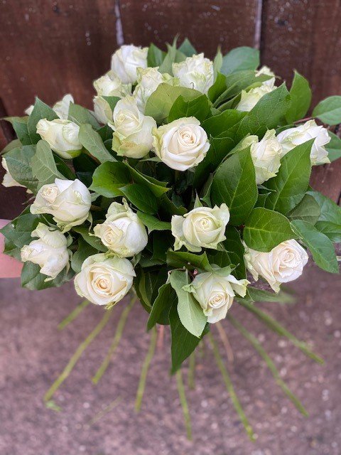 rozen bloemen