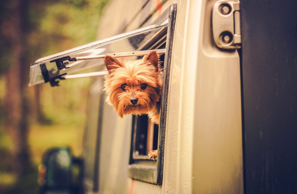 mobilhome huren met hond