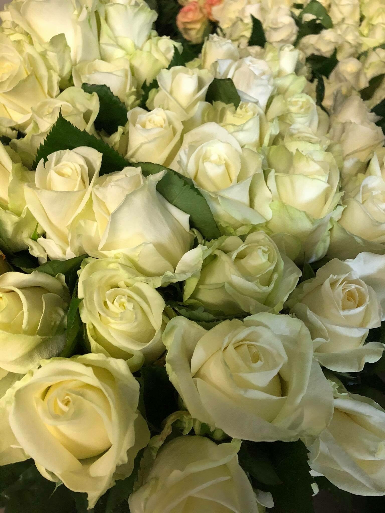 witte rozen boeket
